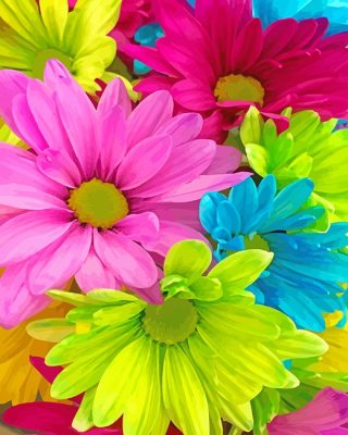 Colorful Flowers Paint By Number