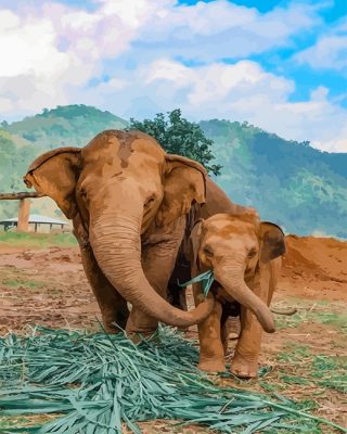 Elephants In Thailand Paint By Number