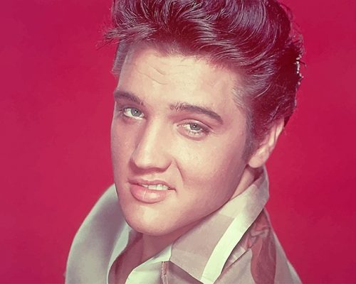 Elvis Presley Smile Paint By Number