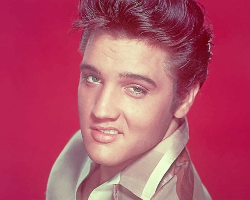 Elvis Presley Smile Paint By Number
