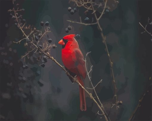 Red Cardinal Bird Paint By Number