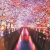 Sakura Cherry Blossom Paint By Number