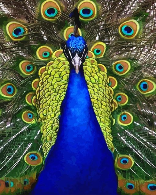 Blue Golden Peacock Paint By Number