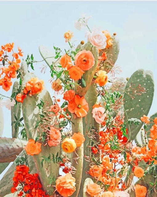 Cactus Flower Paint By Number