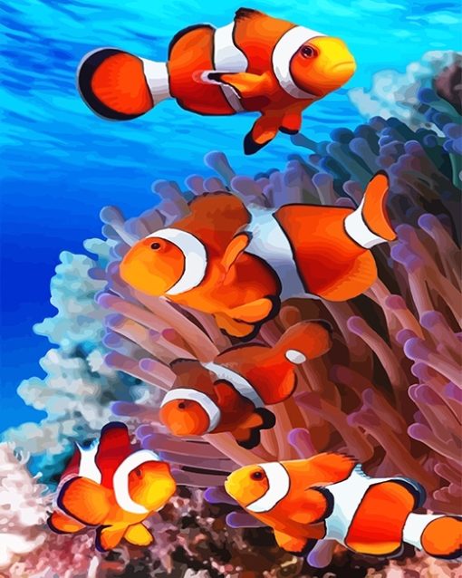 Colorful Clown Fish Paint By Number