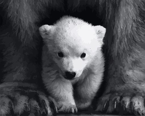 Cute Little White Bear Paint By Number