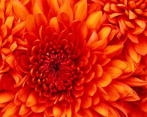 Orange Flower Paint By Number