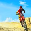 Red Dirt Bike Desert Paint By Number