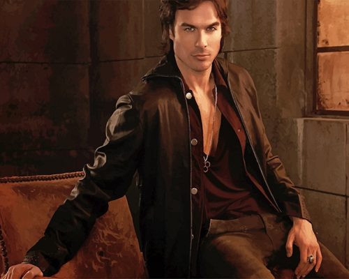 Vampire Ian Somerhalder Paint By Number