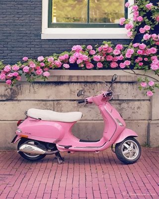 Vespa Pink Scooter Paint By Number