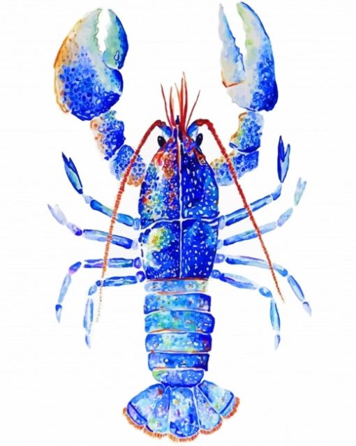 Blue Lobster Art Paint By Number