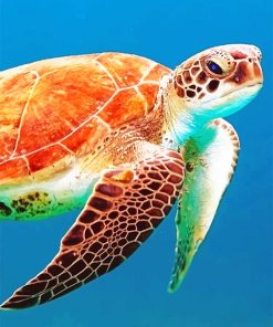 Brown Sea Turtle Paint By Number