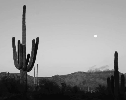 Cactus Moon Paint By Number