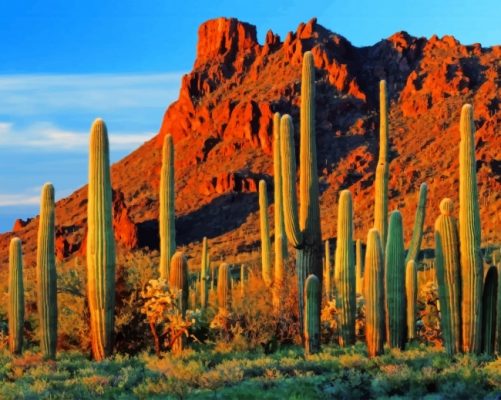 Cactus Near Mountain Paint By Number