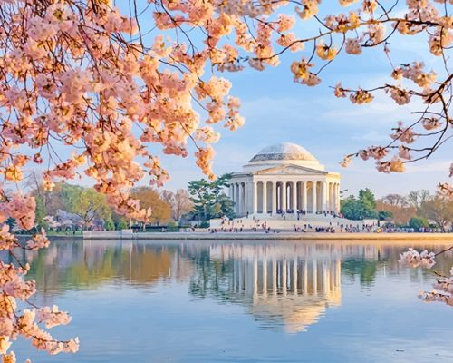 Jefferson Memorial Paint By Number