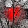 Moon Forest Red Silhouette Paint By Number