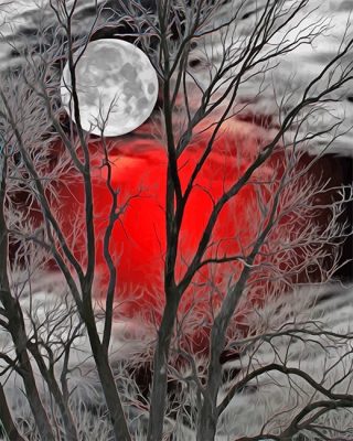 Moon Forest Red Silhouette Paint By Number