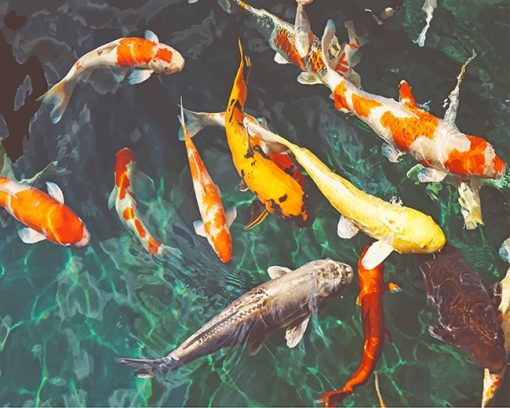 Orange And White Koi Paint By Number