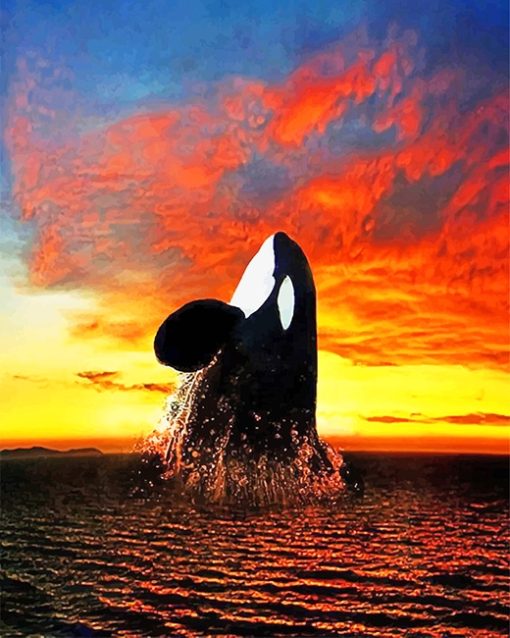 Orca Sunset Paint By Number