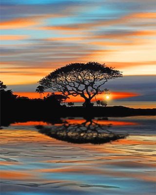 Tree Silhouette Sunset Paint By Number