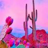 Aesthetic Sky Cactus Paint By Number
