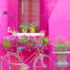 Bicycle In Burano Italy Paint By Number