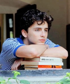 Timothee Chalamet Paint By Number