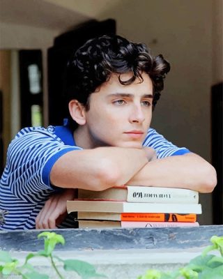 Timothee Chalamet Paint By Number