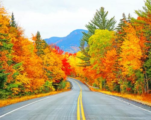 Road Autumn Trees Paint By Number