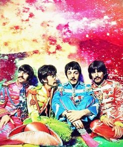 The Colorful Beatles Paint By Number
