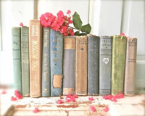 Vintage Books Paint By Number