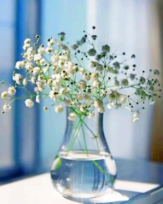 Baby's Breath Glass Vase paint by numbers