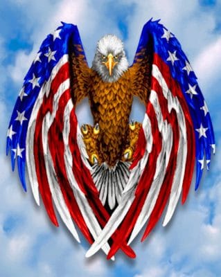 Eagle American Flag paint by numbers