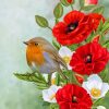 Bird On Poppy Flowers Paint by number