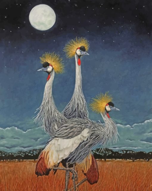 Grey Crowned Cranes Paint By Number