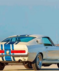 White Ford GT 500 Paint By Number