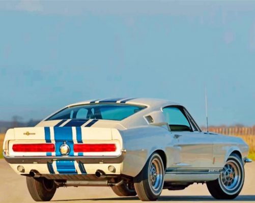 White Ford GT 500 Paint By Number