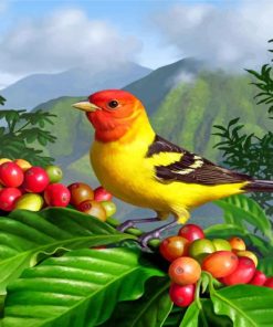 western-tanager-paint-by-number