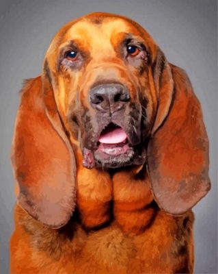 bloodhound-dog-paint-by-numbers