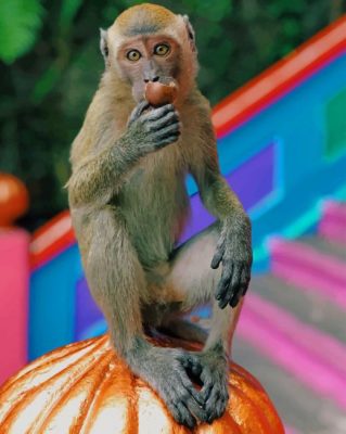 Brown-Monkey-On-Orange-Pumpking-paint-by-number