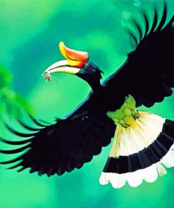 Flying Great Hornbill Paint by numbers