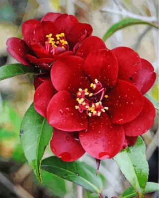 aesthetic-red-camellia-paint-by-numbers