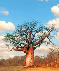 Baobab Tree Paint by numbers