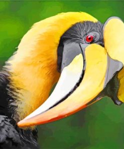 Great Hornbill Paint by numbers