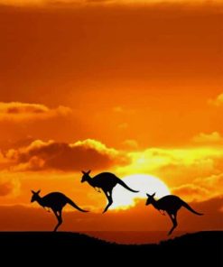 kangaroo-sunset-paint-by-number