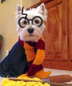 Westie Potter paint by numbers