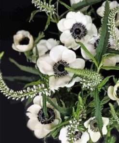 White Anemone Paint by numbers