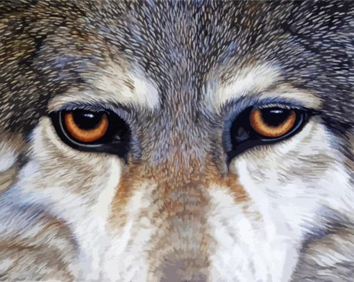 Aesthetic Wolf Eyes Art paint by numbers