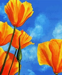 California Poppy Art paint by numbers