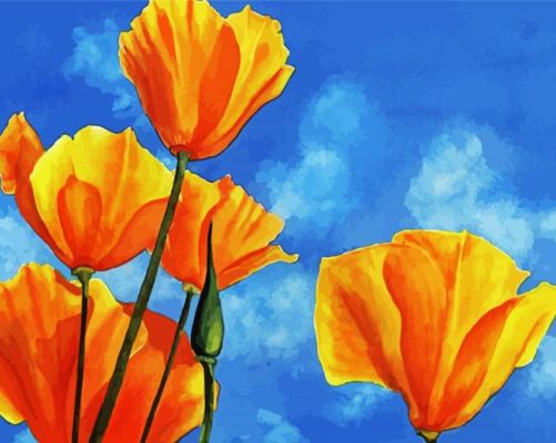 California Poppy Art paint by numbers